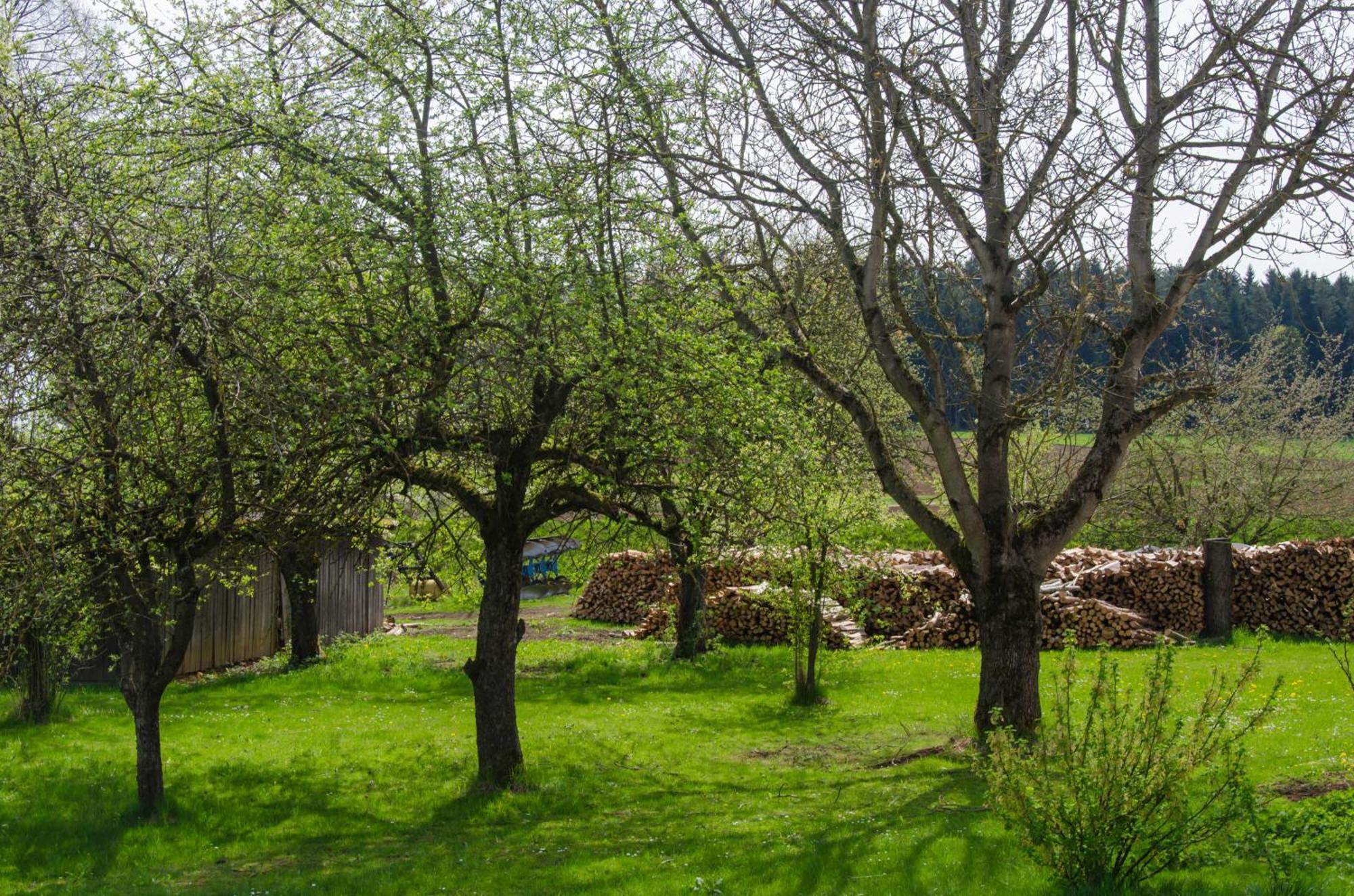 אאופסס Ferienwohnung Kobelsberg מראה חיצוני תמונה